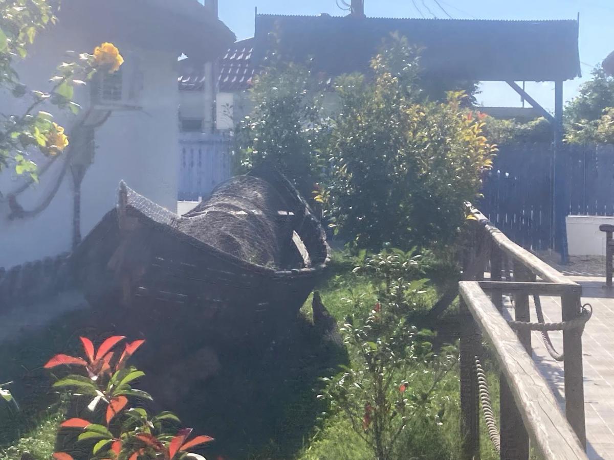 Casa Soarelui Hotell Murighiol Exteriör bild