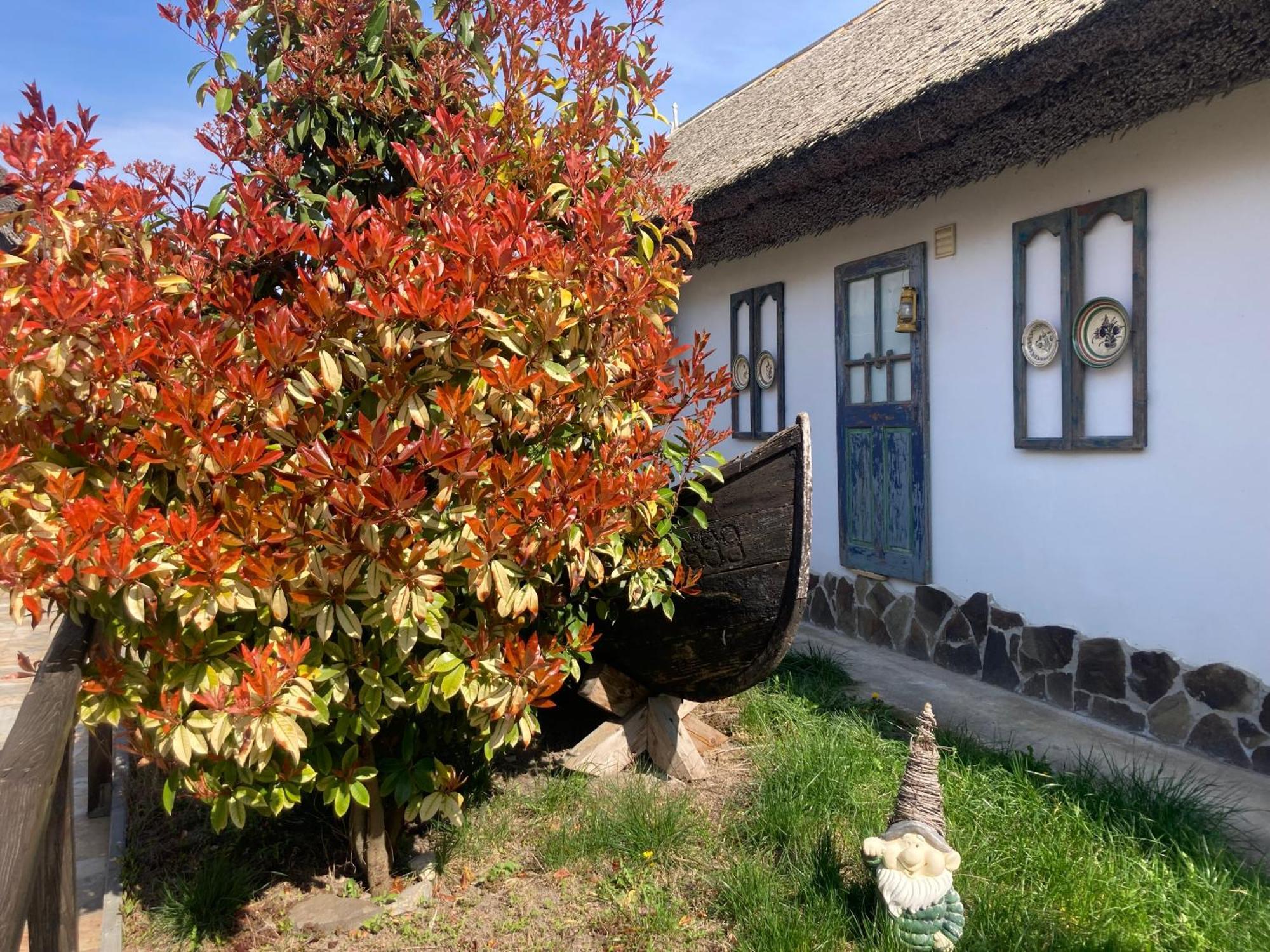 Casa Soarelui Hotell Murighiol Exteriör bild