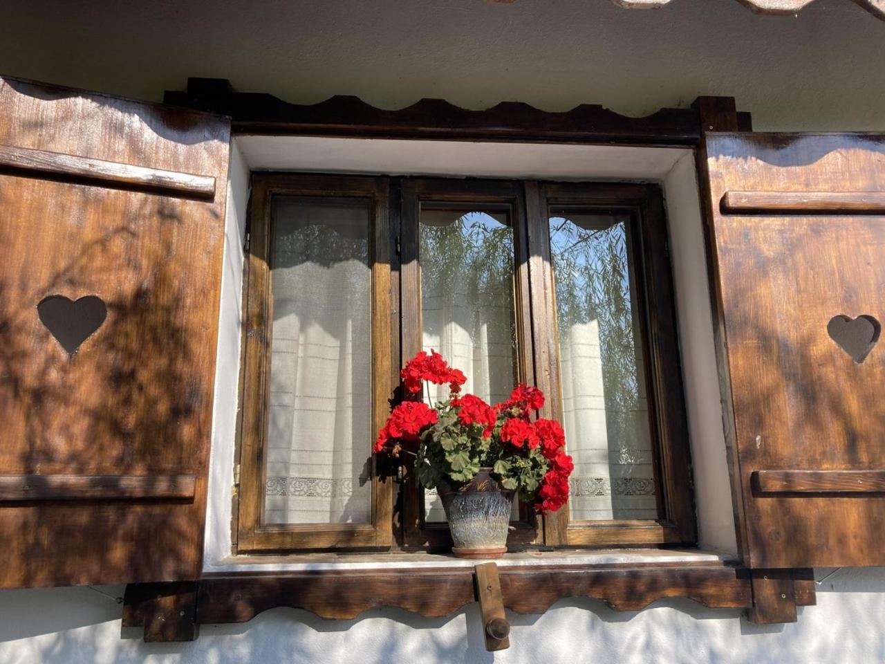 Casa Soarelui Hotell Murighiol Exteriör bild