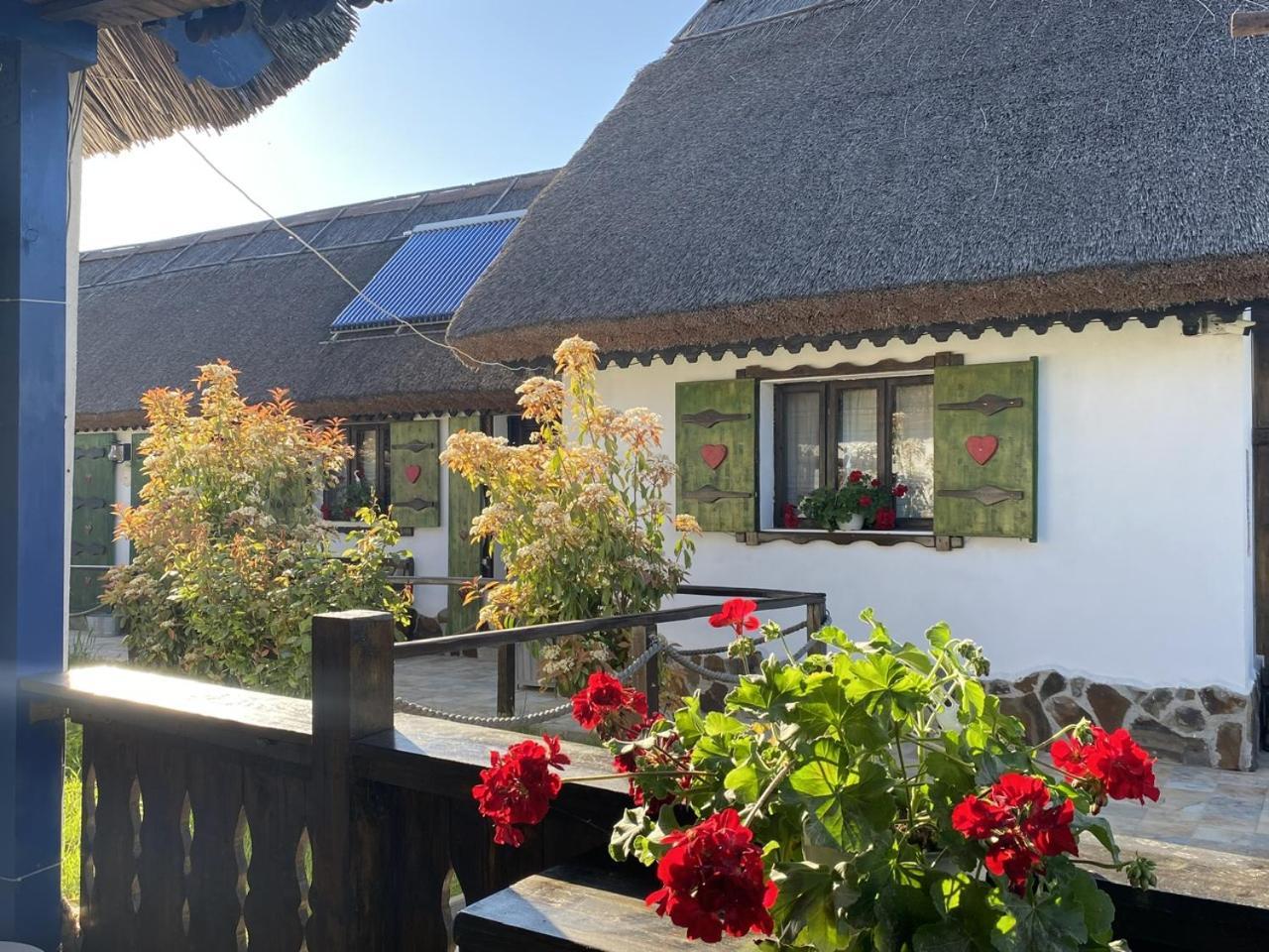 Casa Soarelui Hotell Murighiol Exteriör bild